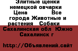 Элитные щенки немецкой овчарки › Цена ­ 30 000 - Все города Животные и растения » Собаки   . Сахалинская обл.,Южно-Сахалинск г.